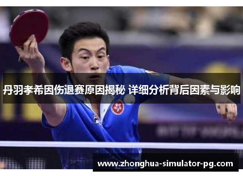 丹羽孝希因伤退赛原因揭秘 详细分析背后因素与影响