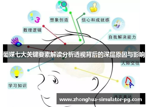 葡媒七大关键要素解读分析透视背后的深层原因与影响