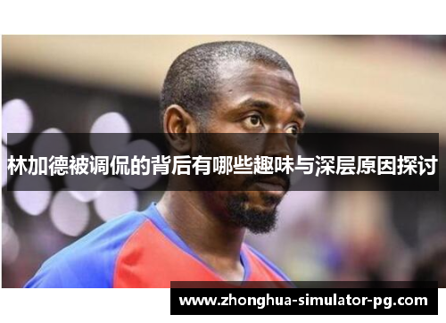 林加德被调侃的背后有哪些趣味与深层原因探讨