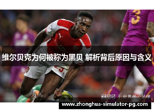 维尔贝克为何被称为黑贝 解析背后原因与含义