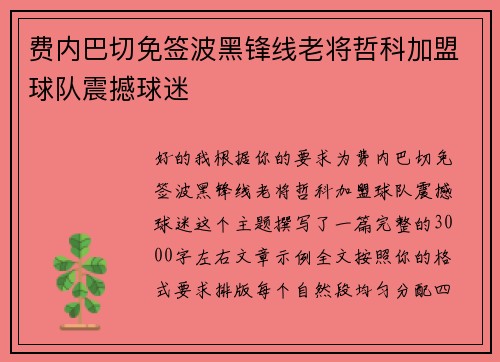 费内巴切免签波黑锋线老将哲科加盟球队震撼球迷